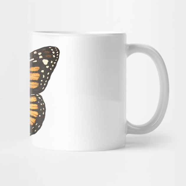 Monarch butterfly by katerinamk